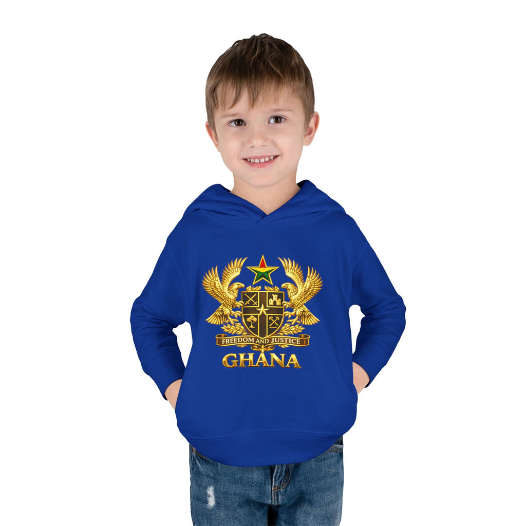 Freedom and Justice Toddler Hoodie — Kids Pullover