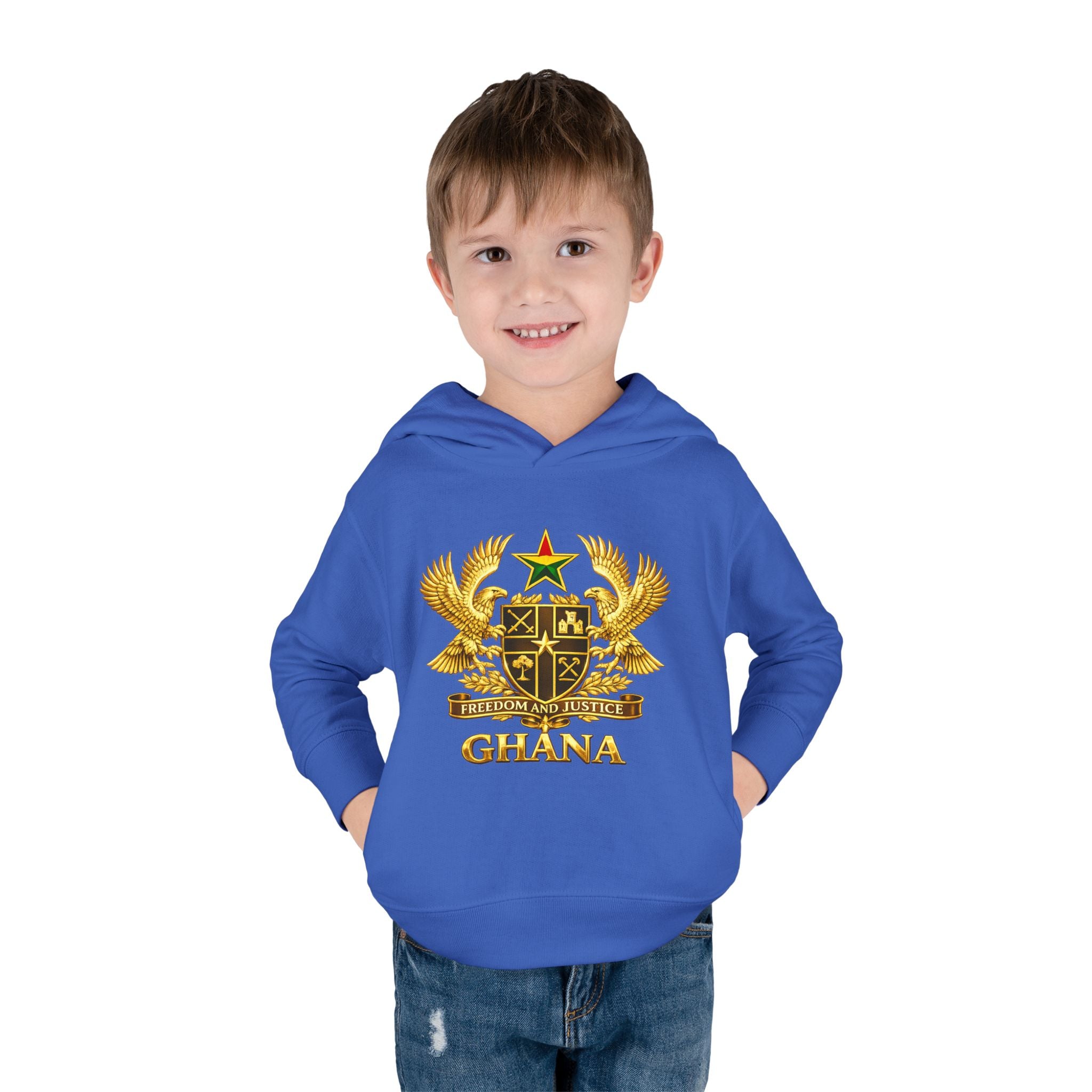 Freedom and Justice Toddler Hoodie — Kids Pullover