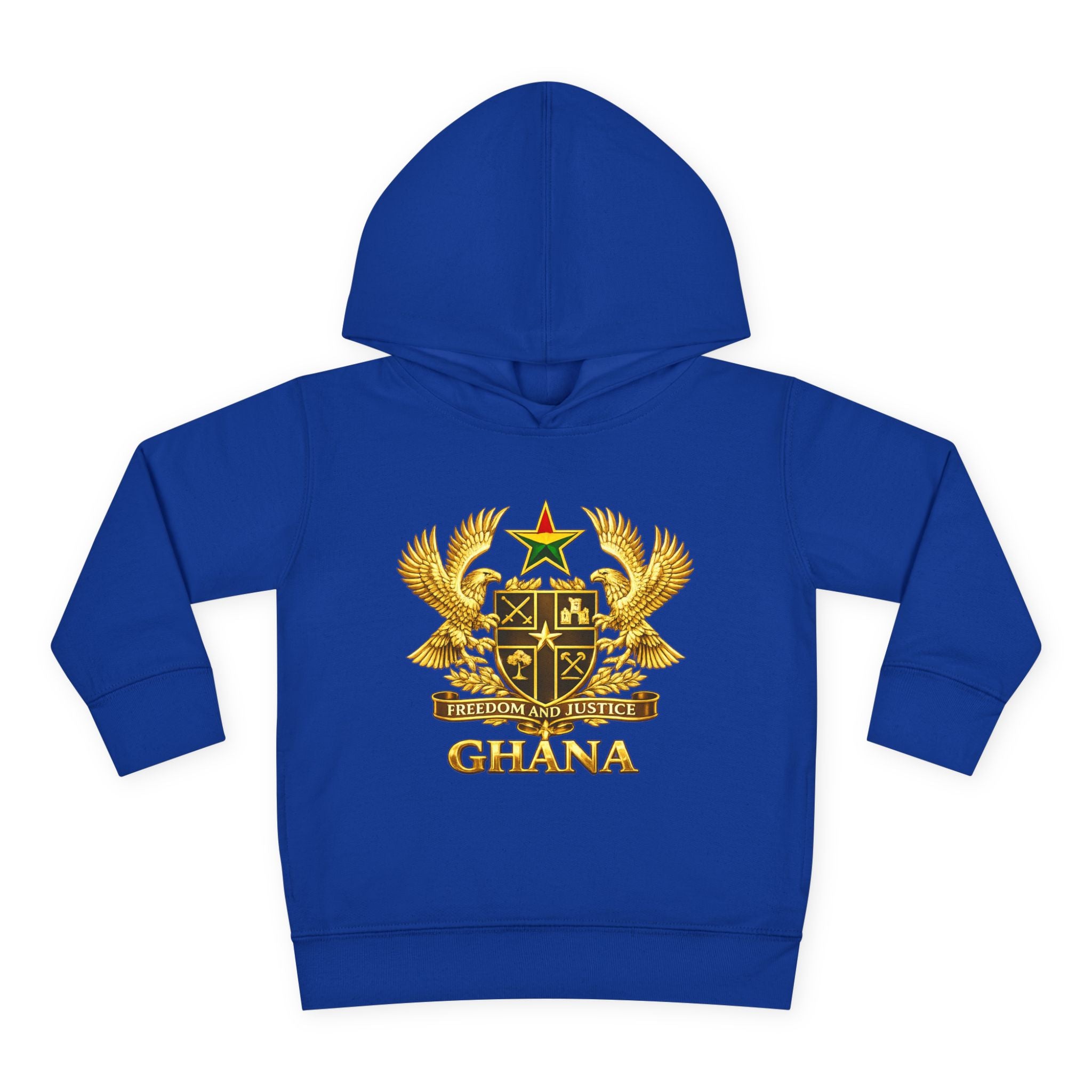 Freedom and Justice Toddler Hoodie — Kids Pullover