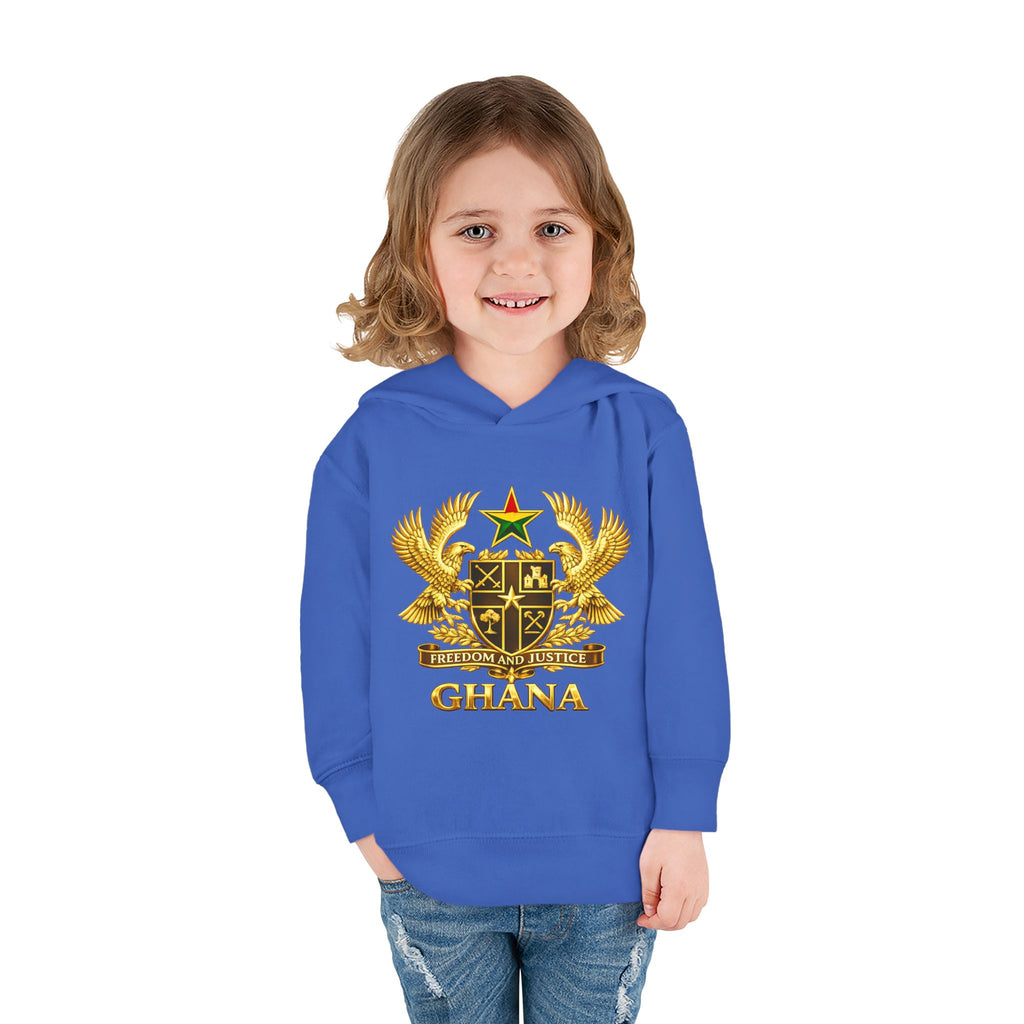 Freedom and Justice Toddler Hoodie — Kids Pullover