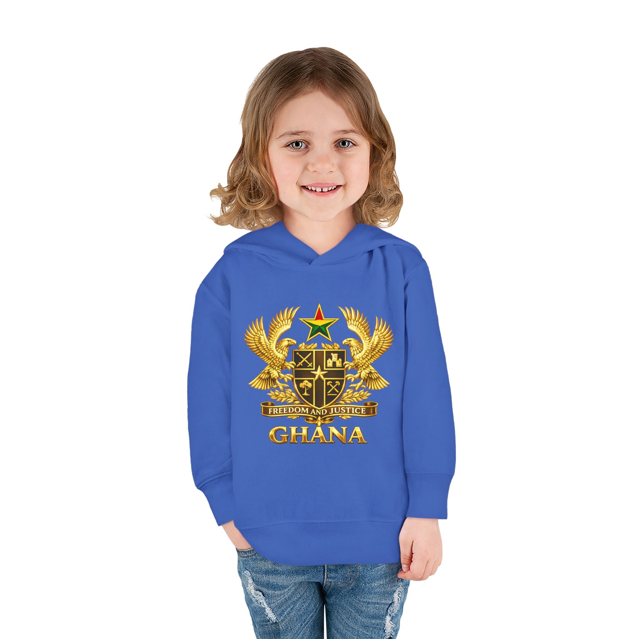 Freedom and Justice Toddler Hoodie — Kids Pullover