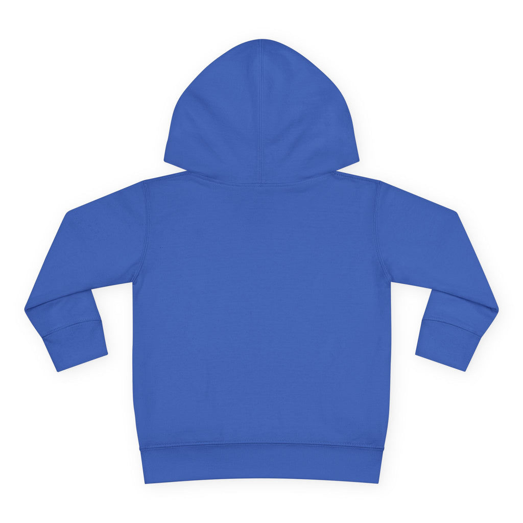 Freedom and Justice Toddler Hoodie — Kids Pullover