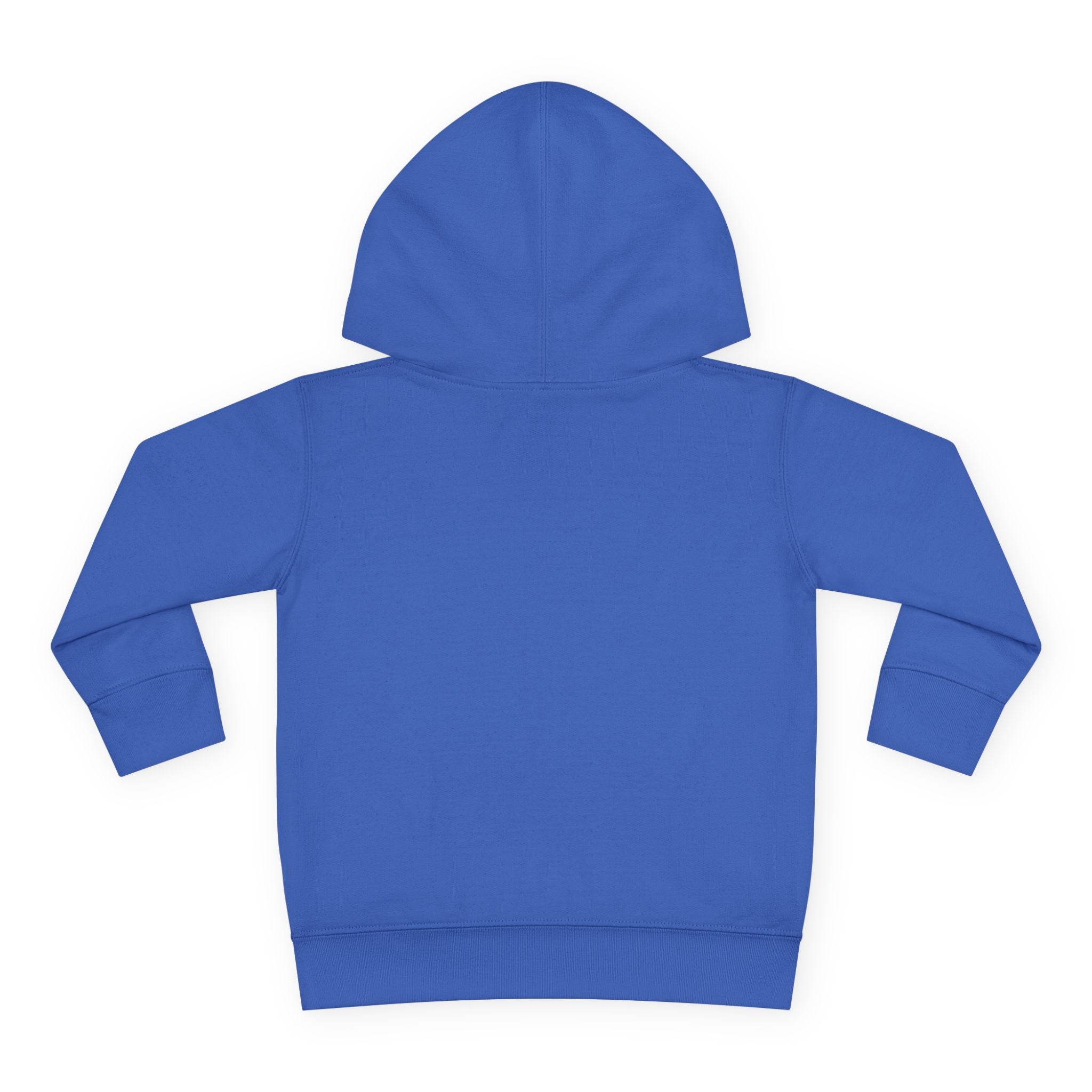 Freedom and Justice Toddler Hoodie — Kids Pullover