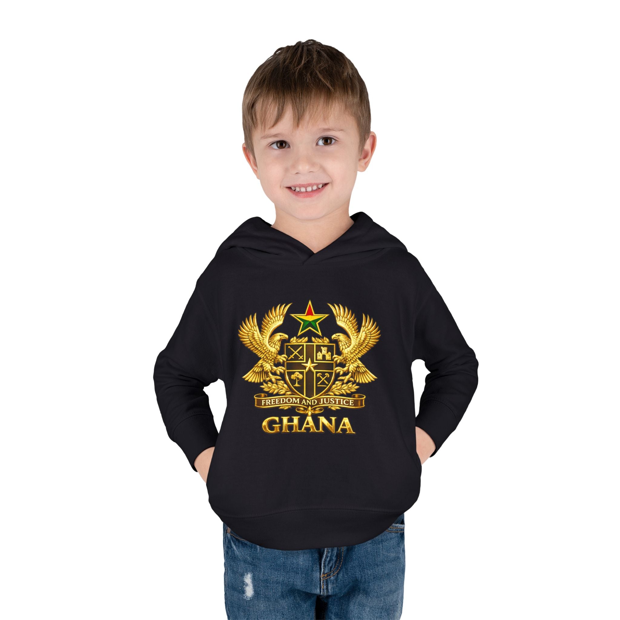 Freedom and Justice Toddler Hoodie — Kids Pullover