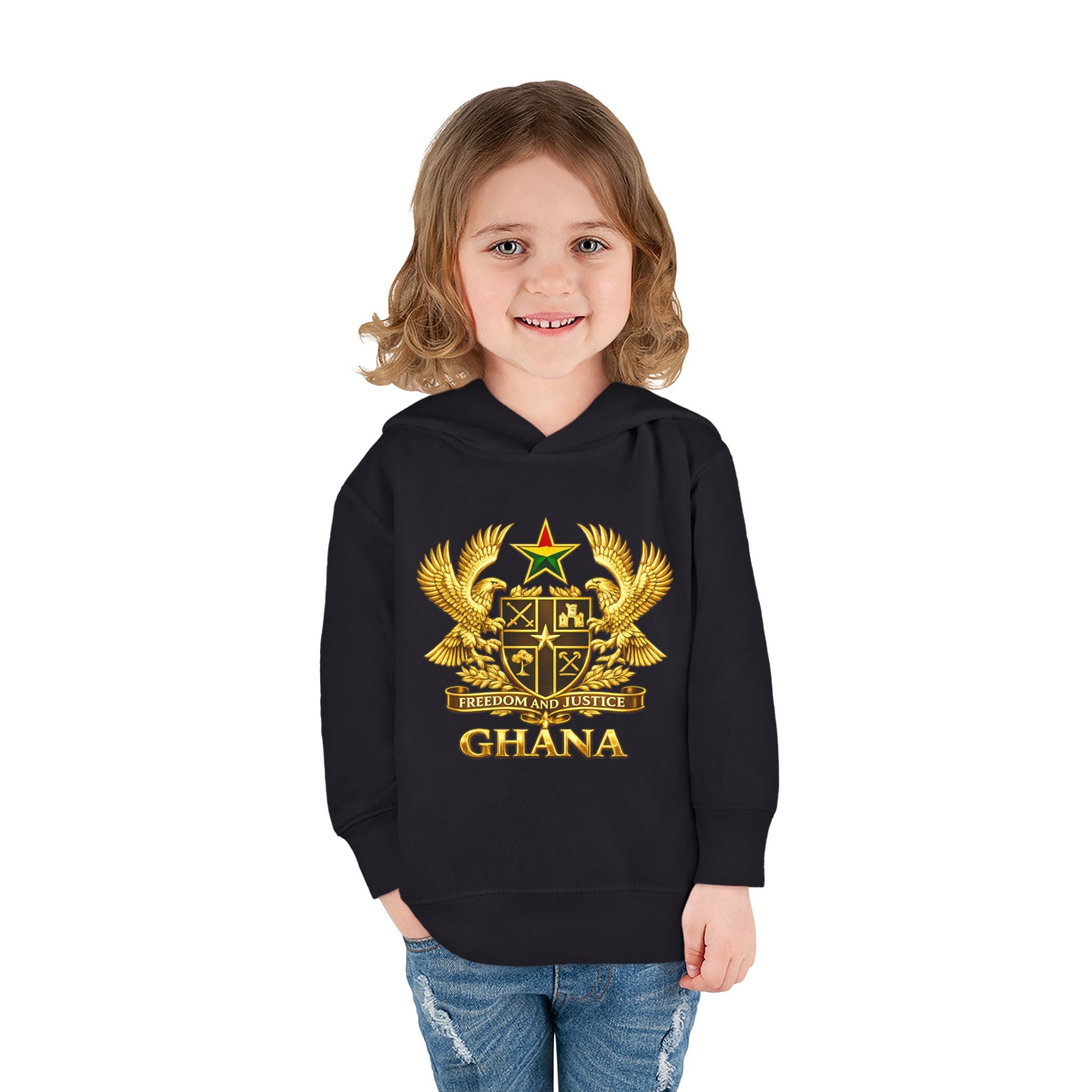 Freedom and Justice Toddler Hoodie — Kids Pullover