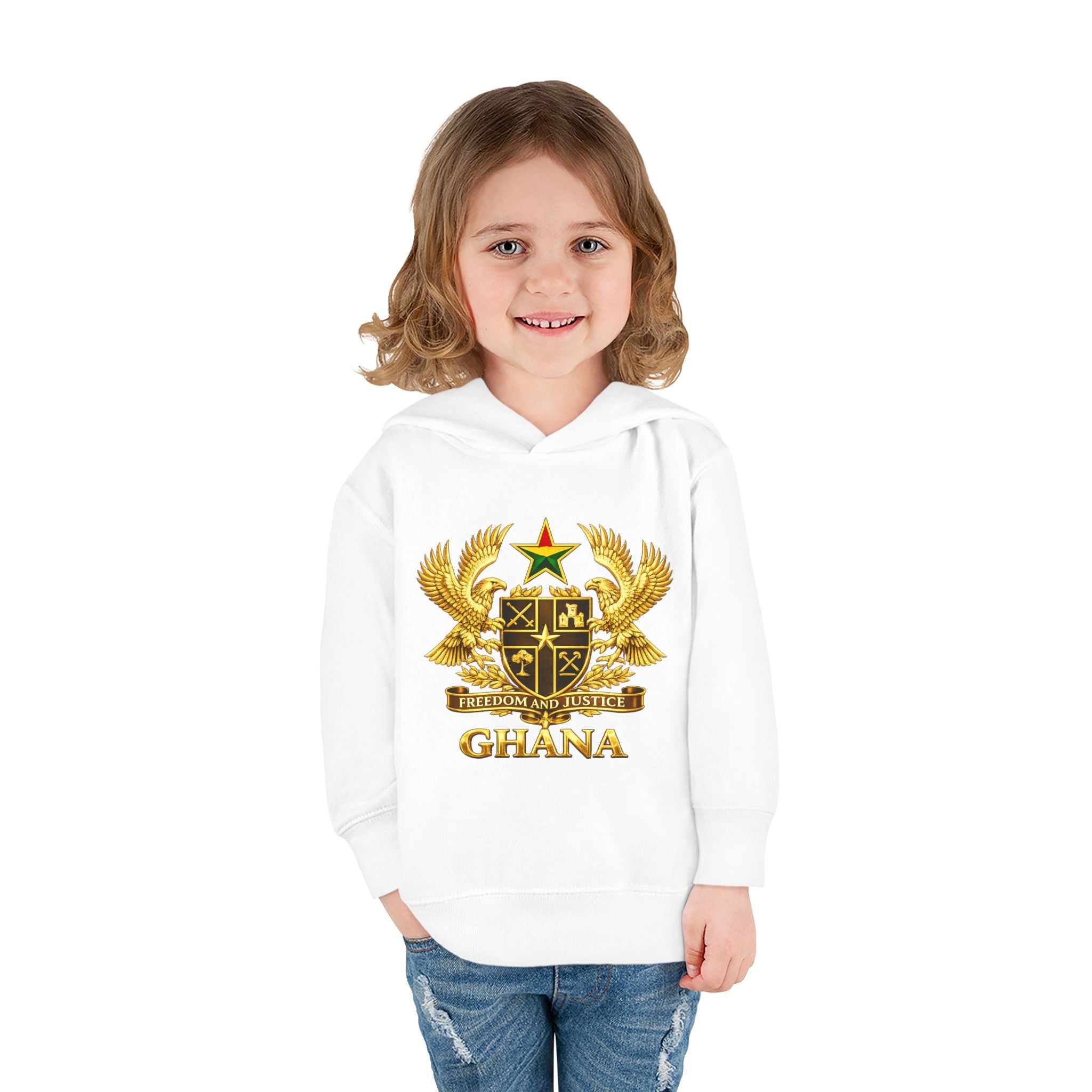 Freedom and Justice Toddler Hoodie — Kids Pullover
