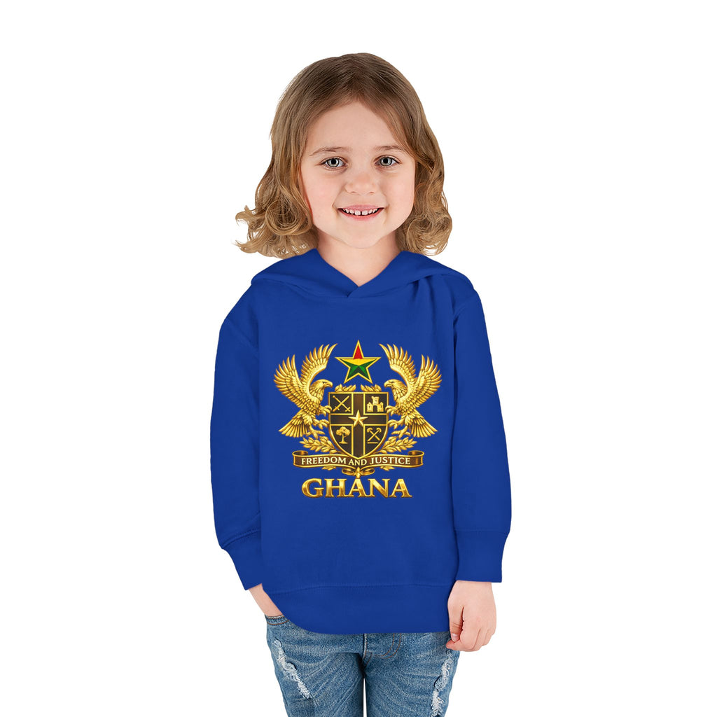 Freedom and Justice Toddler Hoodie — Kids Pullover