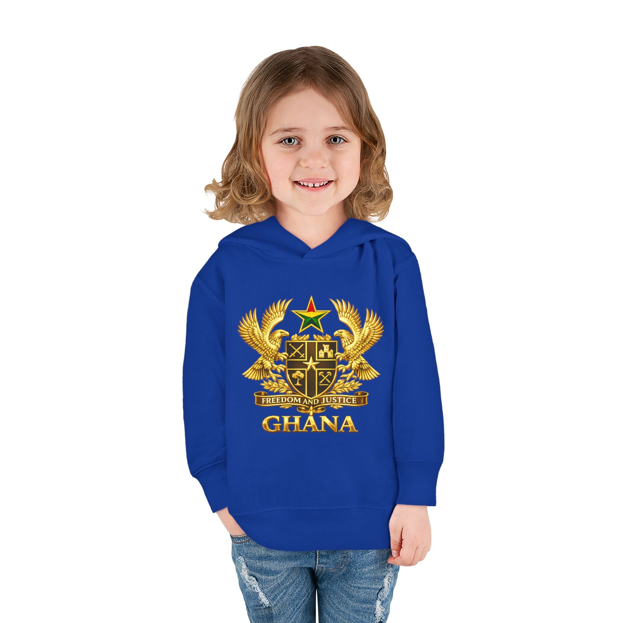 Freedom and Justice Toddler Hoodie — Kids Pullover