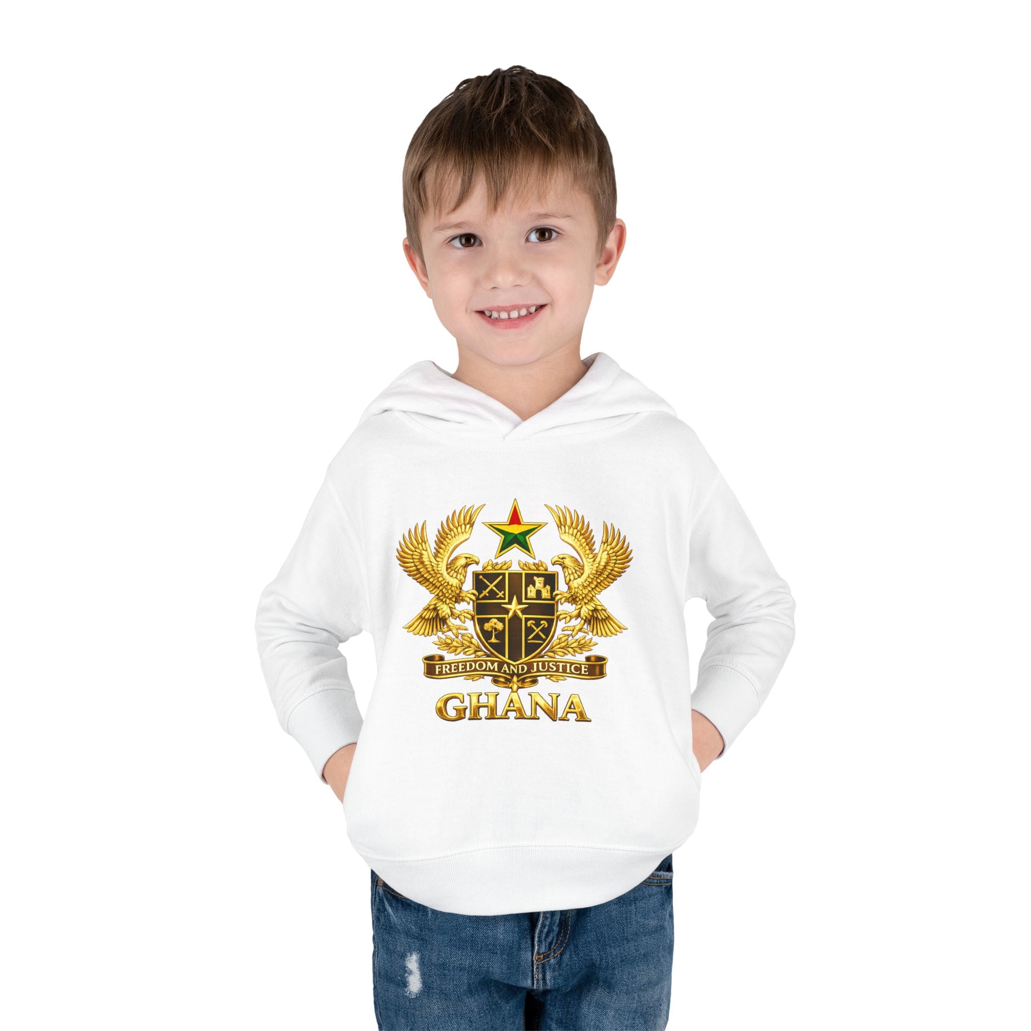 Freedom and Justice Toddler Hoodie — Kids Pullover